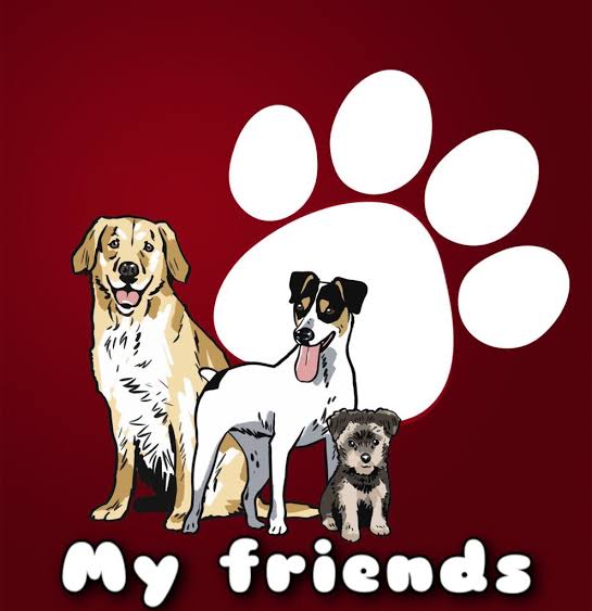 My Friends